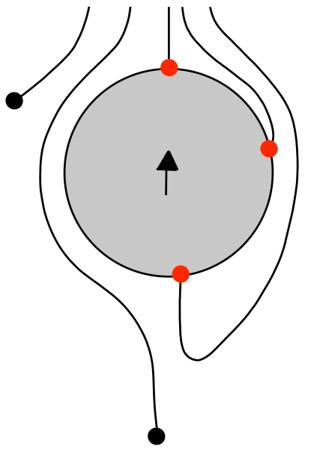 A figure showing a 2D illustration of the expectation of particle movements around bubbles resulting in lines around a circle with some ending outside and some on the circle.